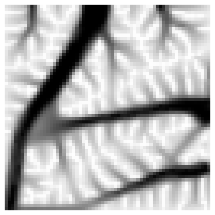 Thermoelastic 2D problem setup